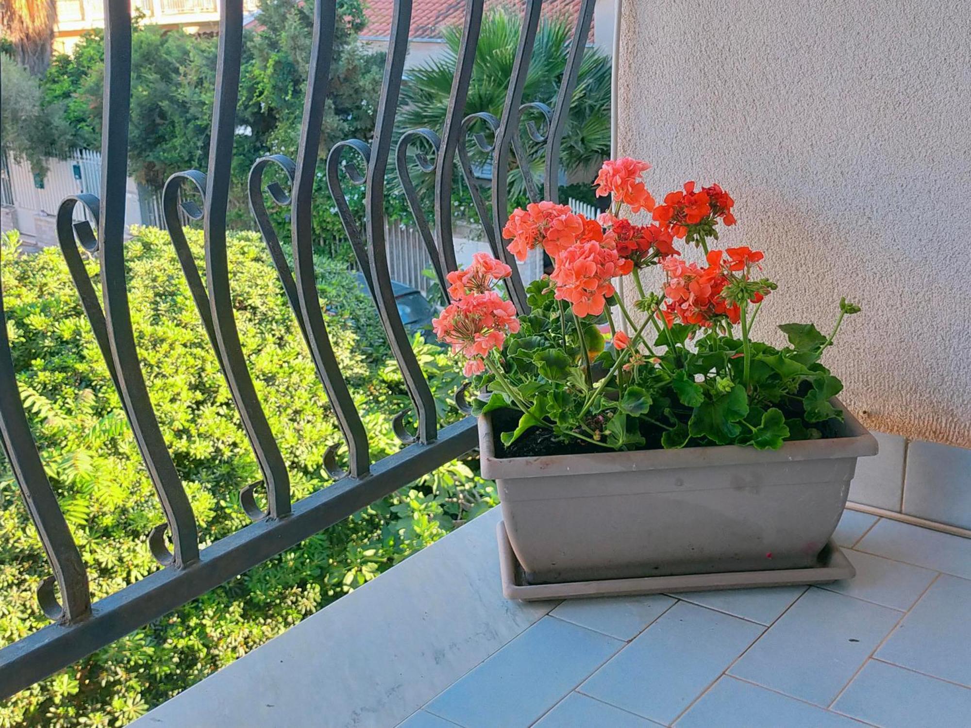 Apartamento A Casa Di Mara Mondello Exterior foto